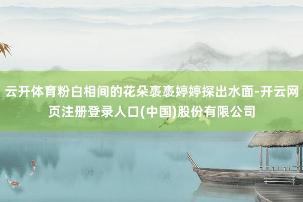 云开体育粉白相间的花朵褭褭婷婷探出水面-开云网页注册登录人口(中国)股份有限公司