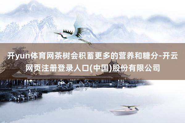 开yun体育网茶树会积蓄更多的营养和糖分-开云网页注册登录人口(中国)股份有限公司